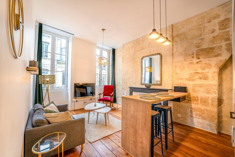 Others 4, Appartements Climatises en Hyper Centre, Gironde