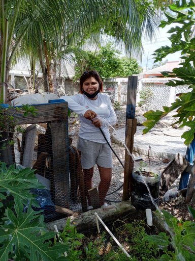 Others 3, Sustainable Cabain, Cozumel