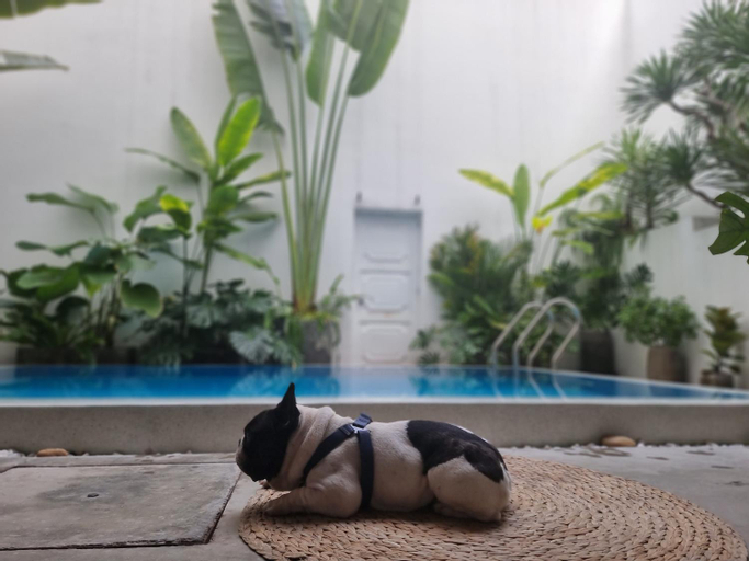 Swimming Pool 5