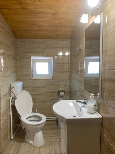 Bathroom, Casa Blendea Daniela, Cartisoara