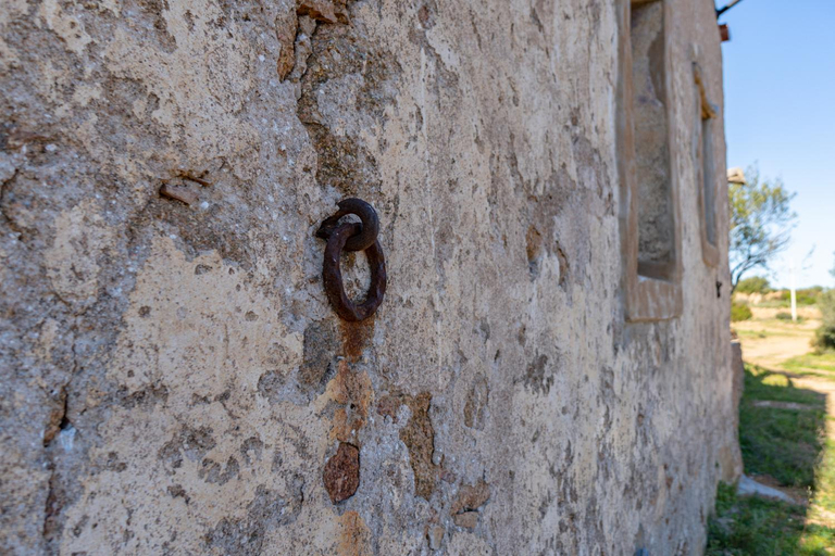 Facilities 3, Le Case di Mara - Appartamenti Tipici "Stazzo Giovannareddu", Olbia-Tempio