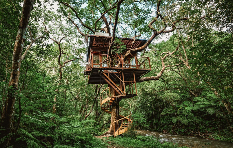 Others 4, Treeful Treehouse Sustainable Resort Okinawa, Nago