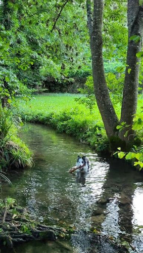 Others 3, Airbnb: Vieilles Pierres et Riviere en Perigord, Dordogne