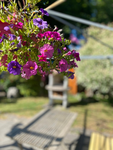 Others 3, Ferienwohnung Am Franziskanergarten, Bad Tölz-Wolfratshausen