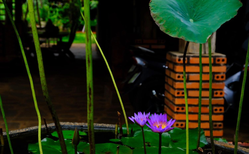 Others 4, Plei Homestay & Cafe, Pleiku
