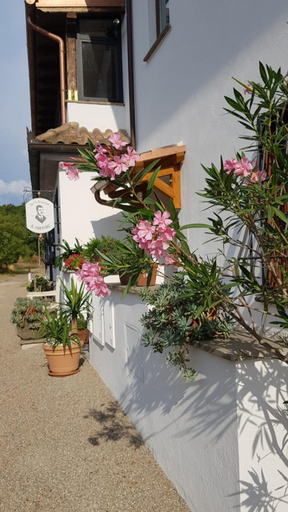 Exterior & Views 1, Il Sartore, Viterbo