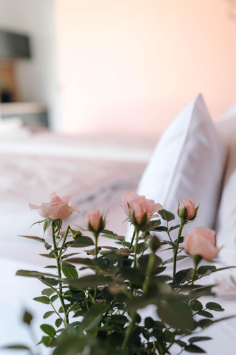 Others 5, Pension Blumenwiese - Mitten im Thermenland, Hartberg-Fürstenfeld
