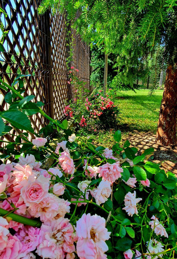 Garden 4, Vila Flora in Gura Humorului, Gura Humorului