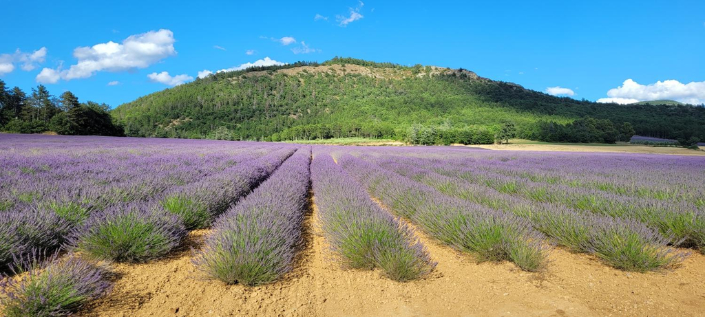 Others 5, Le Jas de Volonne, Alpes-de-Haute-Provence