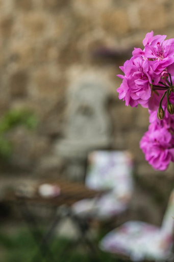 Others 2, B&B Etruscan Garden, Viterbo