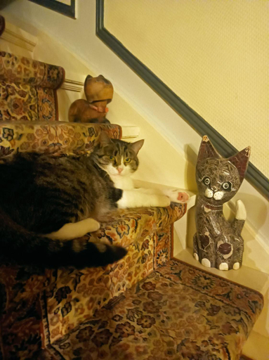 Others 3, Villa des Chats, Pas-de-Calais