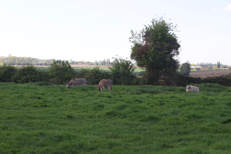 Others 4, Welkom huis, Nord