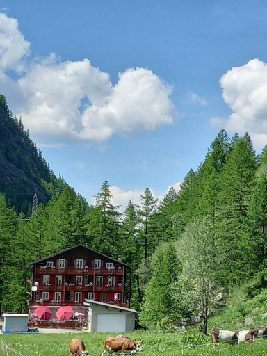 Others 4, Pension Waldegg Zermeiggern, Visp