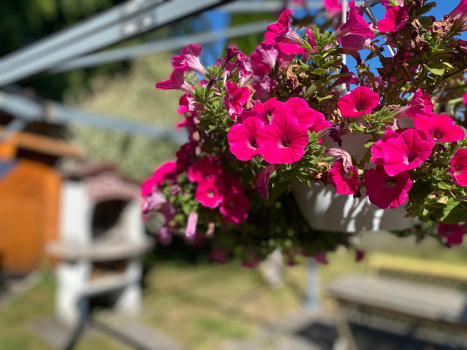 Others 4, Ferienwohnung Am Franziskanergarten, Bad Tölz-Wolfratshausen