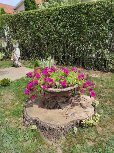 Garden 3, Andrea Airport Apartments, Belgrade