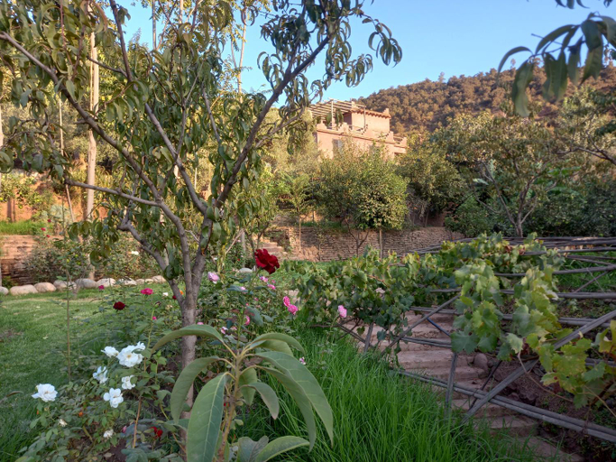 Others 5, Ourika Timalizene le jardin des delices, Al Haouz