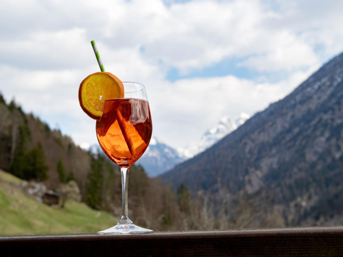 Food & Drinks 4, Alpengasthof Veitenhof, Kufstein