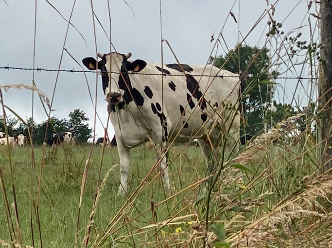 Others 3, LE MONTESSER, Manche