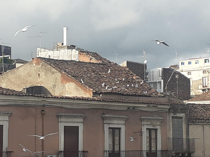 Others 5, Borgo San Giovanni Rooms Catania, Catania