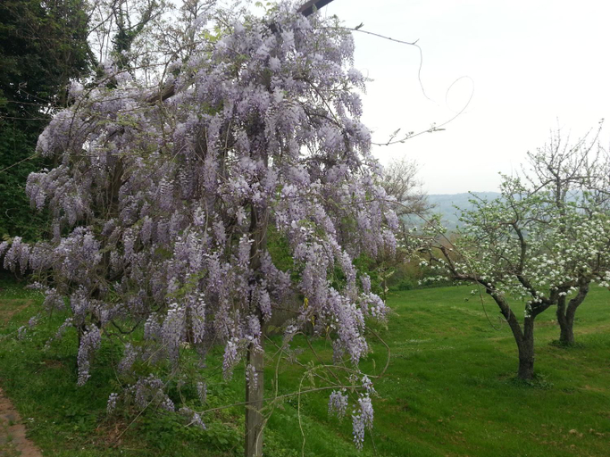 Others 3, Casale Druida, Rieti