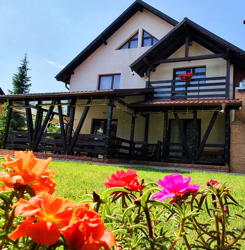Exterior view 3, Vila Flora in Gura Humorului, Gura Humorului