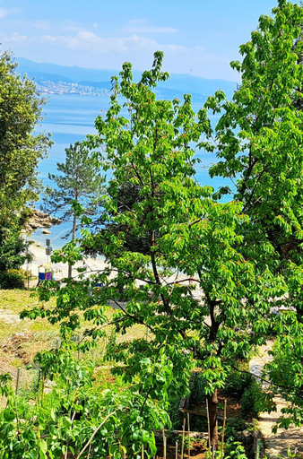 Others 3, Room soba u Opatiji Na Lipovici, Opatija/Veprinac