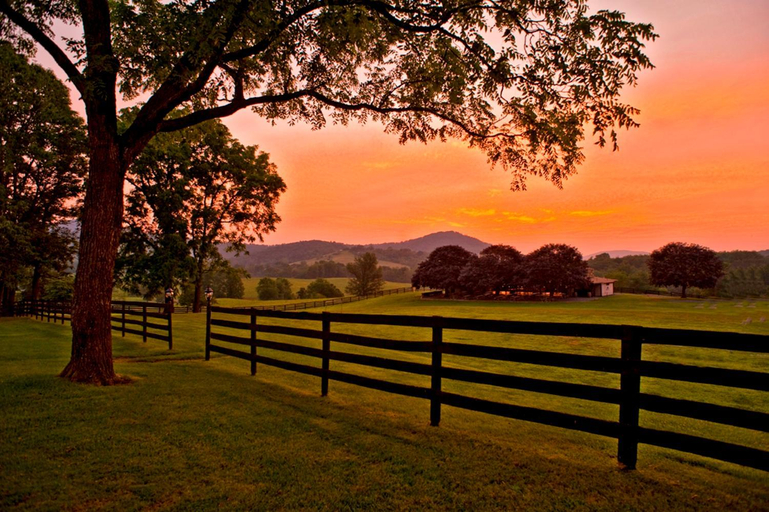 Others 3, Marriott Ranch Bed and Breakfast, Fauquier