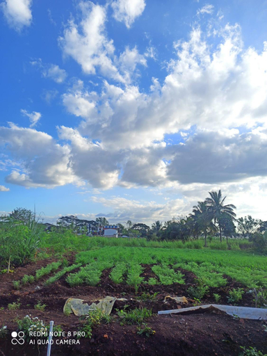 Others 5, Osaree Agro and Art Hub, Kolhapur