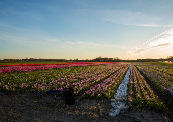 Others 5, DW Castricum, Castricum