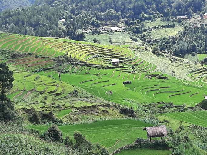 Others 5, Dong Suoi H'mong Homestay & Bungalow, Mù Căng Trai