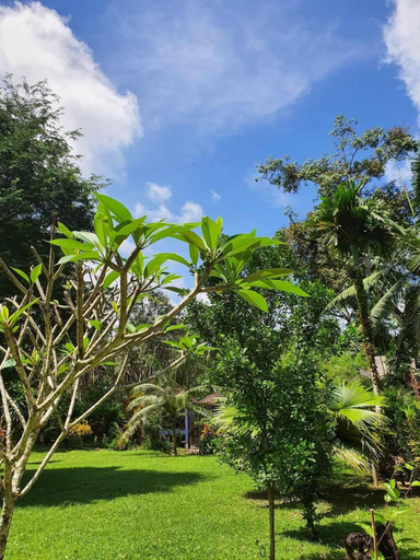 Others 3, Malulee KhaoSok Resort, Phanom