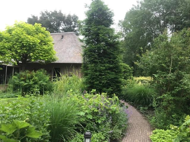 Others 3, B&B. Het Hunebed Rolde, Aa en Hunze