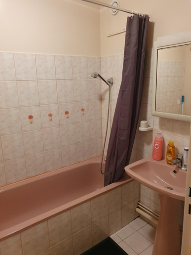 Others 5, Dans grand appart de 113m2 proche Paris, Oise