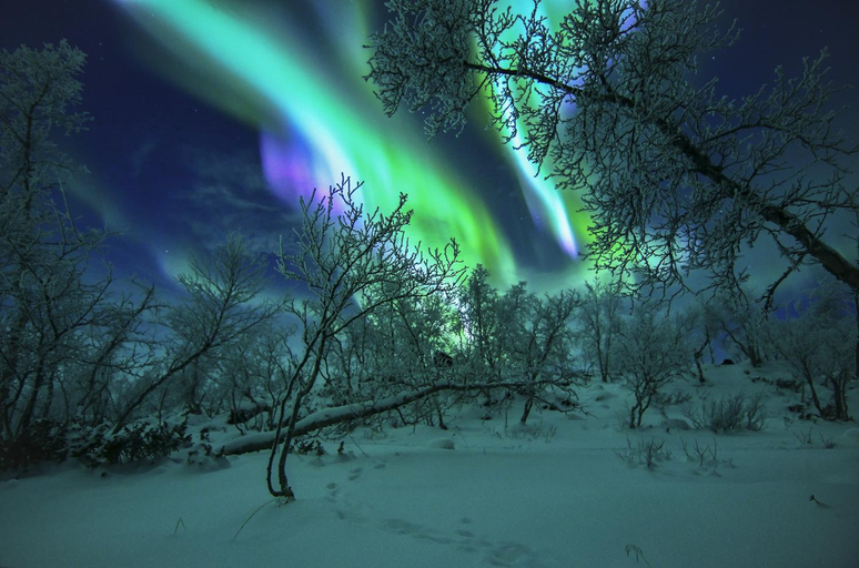 Others 3, Hostel Saana, Lapland