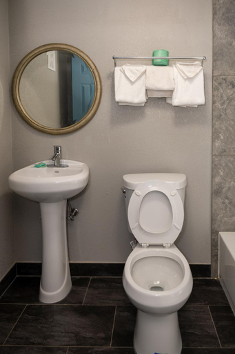Bathroom 4, Riverside Inn and Suites, Hopewell