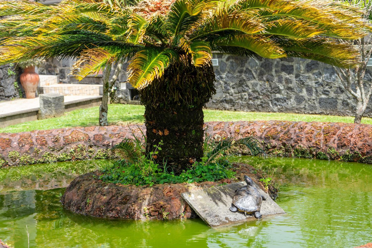 Others 2, Quinta da Paz Azores, Ribeira Grande