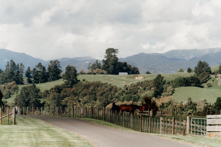 Others 2, Makoura Lodge, Manawatu