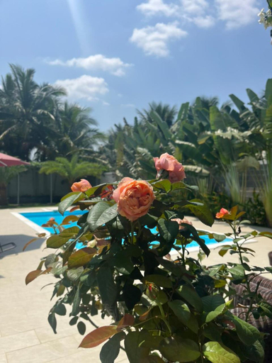 Garden 5, La villa de CoCo Ben Tre, Châu Thành