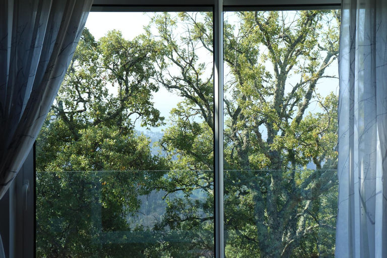 Scenery