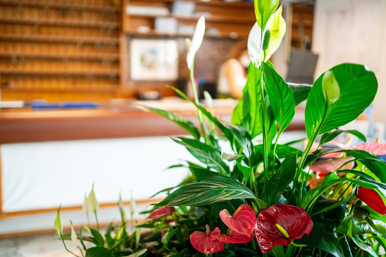 Public Area 2, Hotel Stacchini, Forli' - Cesena
