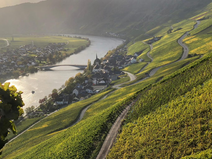 Others 3, Weingut Lehnert-Spater, Bernkastel-Wittlich
