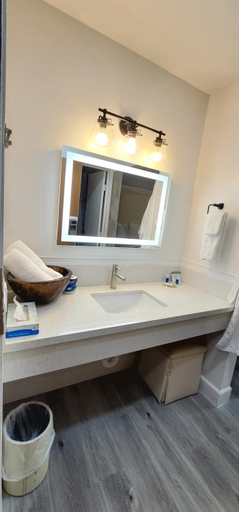 Bathroom 4, Dragonfly Inn & Suites, Adams