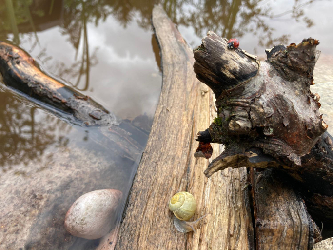Others 3, Le Lezard et la Grenouille BnB, Conthey