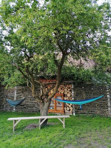 Others 5, Casa Meburger 279, Homorod
