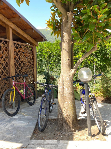 Others 5, B&B Rox e Claudia, Rieti