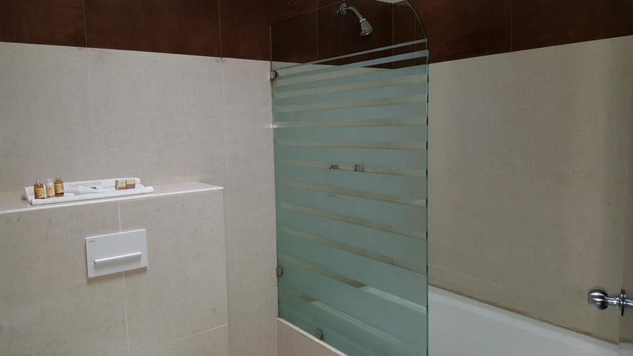 Bathroom 2, Hotel Dubrovnik, Mérida