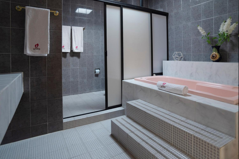 Bathroom 3, HOTEL DEL VALLE INN IXMIQUILPAN, Ixmiquilpan