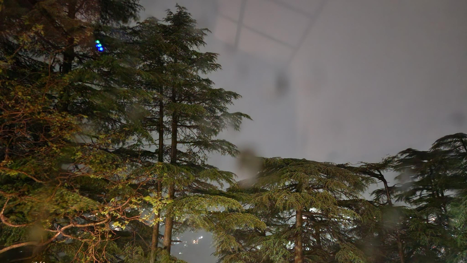 Public Area 3, Glen View Heritage Homestay, Shimla