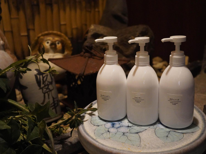 Bathroom 3, Kaikoan, Kyoto