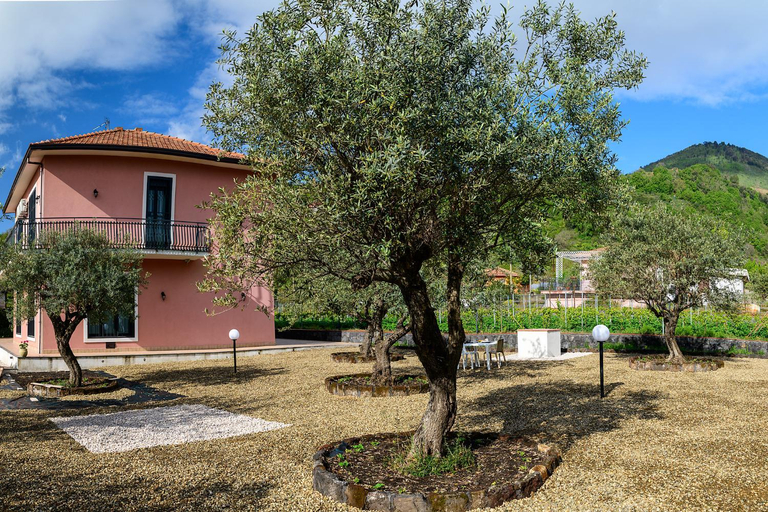 Others 3, Bee Happy - Bed and Breakfast, Catania